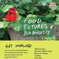 Allotment Soup Community Growing Space – Field Friday Sessions Spring / Summer 2025
