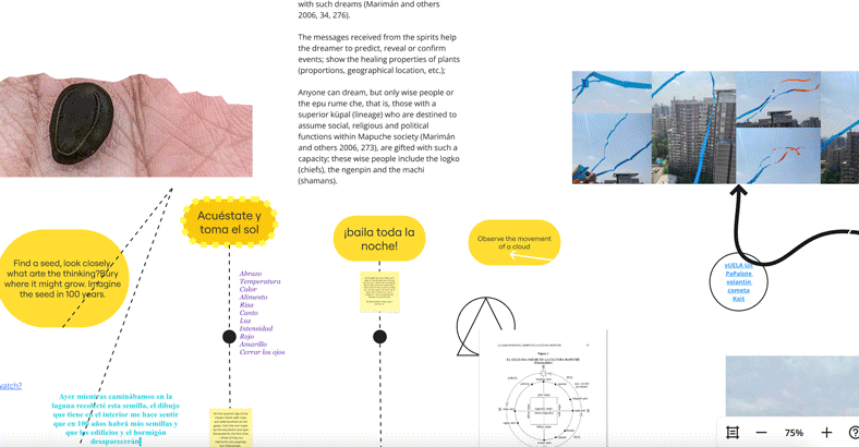 A looping slideshow of 6 screenshots showing different details of a digital mind map/ flowchart including a mixture of coloured text boxes, notes, dots, circled information, and images, such as a hand on tree bark, two parakeets, kites and ribbons in a blue sky, and small objects in hands. Curved, dashed, and straight lines connect the different elements. Some of the text reads “Spend time with the sky”, “Suena/o un hermoso”, “Find a seed look closely. what arte the thinking? Bury where it might grow. Imagine the seed in 100 years.", “Juega con un hielo hasta que se derrite” and “Record the memory of land”